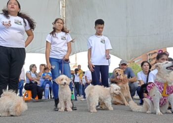 Concurso canino y desfile de mascotas con motivo del aniversario del colegio San José fueron un éxito