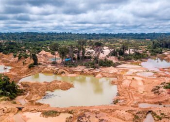 Venezuela es el segundo país con más minería ilegal en la región: tiene unos 2.750 puntos