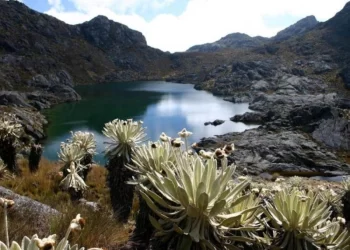 Colombia gana demanda internacional a minera de Canadá por proyecto en páramo de Santurbán
