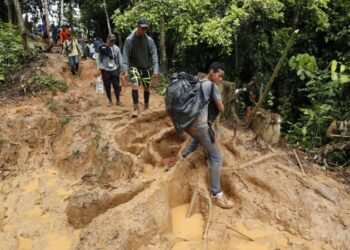 Más de 101.000 migrantes han cruzado el Darién en lo que va de 2024