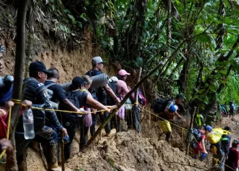 Más de 82.000 migrantes han cruzado el Darién en 2024, en su mayoría venezolanos