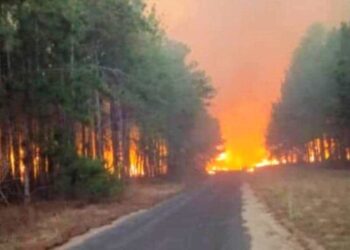 Desalojan a más de 700 personas por incendio en Monagas
