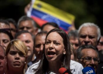 CNE: Machado "presenta prohibición para ejercer cargos" públicos