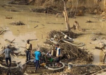 SOS Orinoco denuncia que hay una carretera ilegal entre Brasil y una zona minera de Venezuela