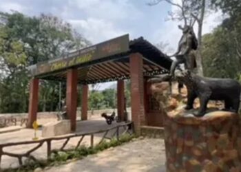 Vandalizan esculturas en el portal del Parque Nacional Chorro El Indio