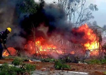 Incendios forestales arrasan con más de 16 mil hectáreas en Venezuela desde noviembre