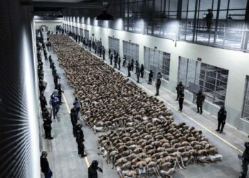 Organización de DDHH asegura que el "modelo Bukele" no es la solución a la criminalidad