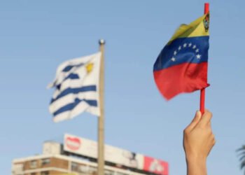 Afirman que 70 % de los profesionales universitarios venezolanos en Uruguay no revalidaron título