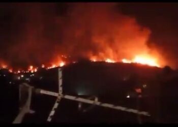 Autoridades combaten incendios forestales en Carabobo, Miranda y Caracas
