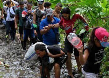 Médicos Sin Fronteras denuncia aumento de violencia contra migrantes en el Darién y México