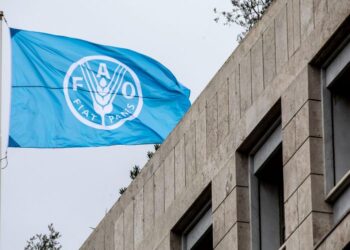 FAO llamó a erradicar la mal nutrición en América Latina