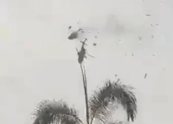 Diez fallecidos por el choque de dos helicópteros de la Marina de Malasia (+Video)
