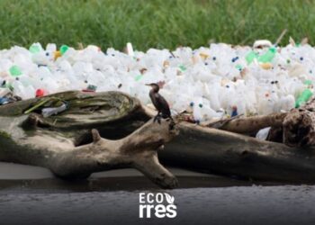 Venezuela entre los 20 países que arrojan más plástico a los océanos