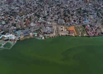 Autoridades evalúan las condiciones del agua del lago de Maracaibo