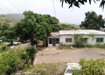 Solicitan ayuda para podar árboles que cubren tendido eléctrico