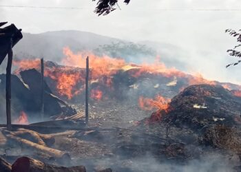Incendio forestal provocó destrucción de un trapiche en el sector sucrense