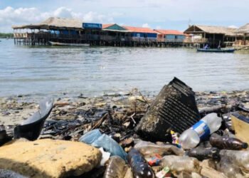 Proyecto EPA pide implementar políticas para reducir contaminación en Lago de Maracaibo