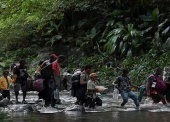 186.969 migrantes han cruzado la selva del Darién en lo que va de 2024