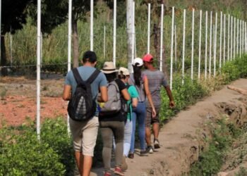 Colombia implementa nuevo permiso especial para migrantes venezolanos