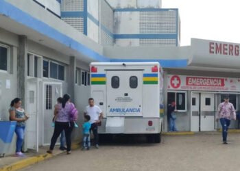 Tres niños resultaron intoxicados tras ingerir piñón en Guanipa