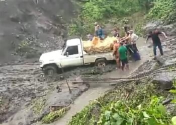 Habitantes de Mundo Nuevo, en Freites, abrieron trochas para trasladar cosechas (+Videos)