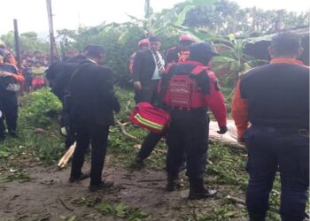 Un niño de 11 años falleció en San Diego tras la caída de un árbol sobre su vivienda