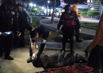 Hallaron el cadáver de un hombre en el río Neverí