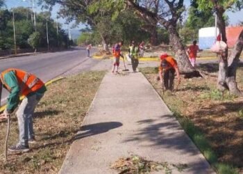 Alcaldía de Cumaná ordenó despliegue de cuadrillas para atender servicios públicos