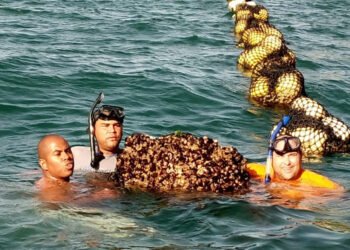 Ministro de Pesca y acuicultura inspeccionó cultivos de mejillón en la península de Paria