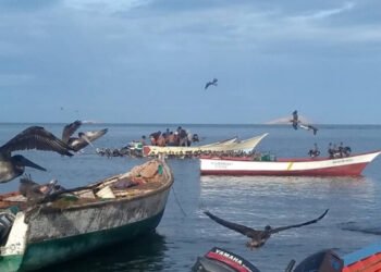 Unas 500 embarcaciones pesqueras estarían varadas por gasolina en Nueva Esparta