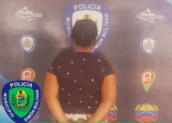 Arrestaron a una mujer por presunto maltrato infantil