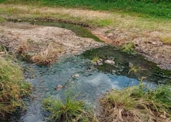 Desborde de aguas servidas sigue afectando a vecinos de El Tigre