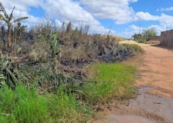 Hallan cadáver calcinado en terreno del sector 12 de Octubre de El Tigre