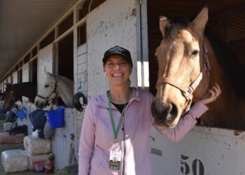 Caballos, cerdos y cacatúas: refugios animales de Los Ángeles, llenos por los incendios