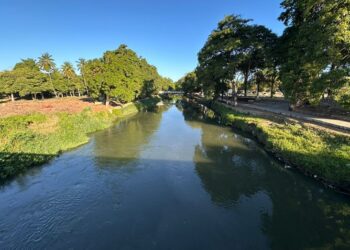 Un hombre encontró restos humanos en el río Manzanares de Cumaná