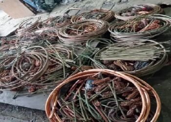 Detienen en Cumaná a tres hombres por robo de material estratégico