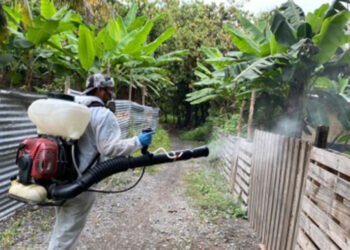 Publican documento sobre medidas de cuarentena por dengue en el municipio Samborondón de Ecuador