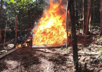 Detenidos tres hombres acusados de practicar la minería ilegal en el Amazonas