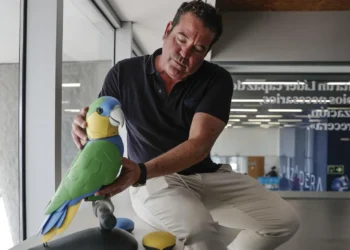 Onorato IA, el loro ‘inteligente’ que busca redefinir el cuidado diario de los mayores