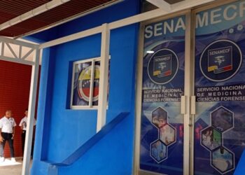 Hombre resultó muerto en el sector Cigma de Güiria tras caer de árbol de gran altura
