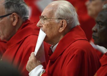 Cardenal decano expresa su deseo de una fumata blanca para la tarde de este jueves