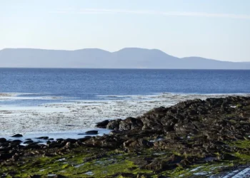 Chile anula la alerta de tsunami en la Antártida pero mantiene la precaución en Magallanes