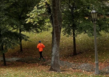 Hacer ejercicio entre los 45 y 65 años puede ayudar a prevenir el alzhéimer, según un estudio