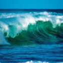 Día Mundial de los Océanos, una fecha dedicada a reconocer la mayor maravilla de la naturaleza