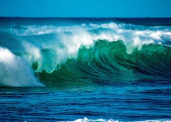 Día Mundial de los Océanos, una fecha dedicada a reconocer la mayor maravilla de la naturaleza