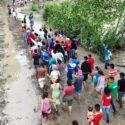 Gobierno venezolano anunció plan de reforestación en zona protegida afectada por las lluvias