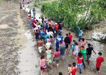 Gobierno venezolano anunció plan de reforestación en zona protegida afectada por las lluvias