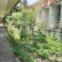 Sindicalista: La UDO-Anzoátegui parece una selva