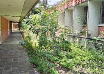 Sindicalista: La UDO-Anzoátegui parece una selva