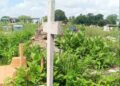 Piden limpieza en el cementerio municipal de Aragua de Barcelona